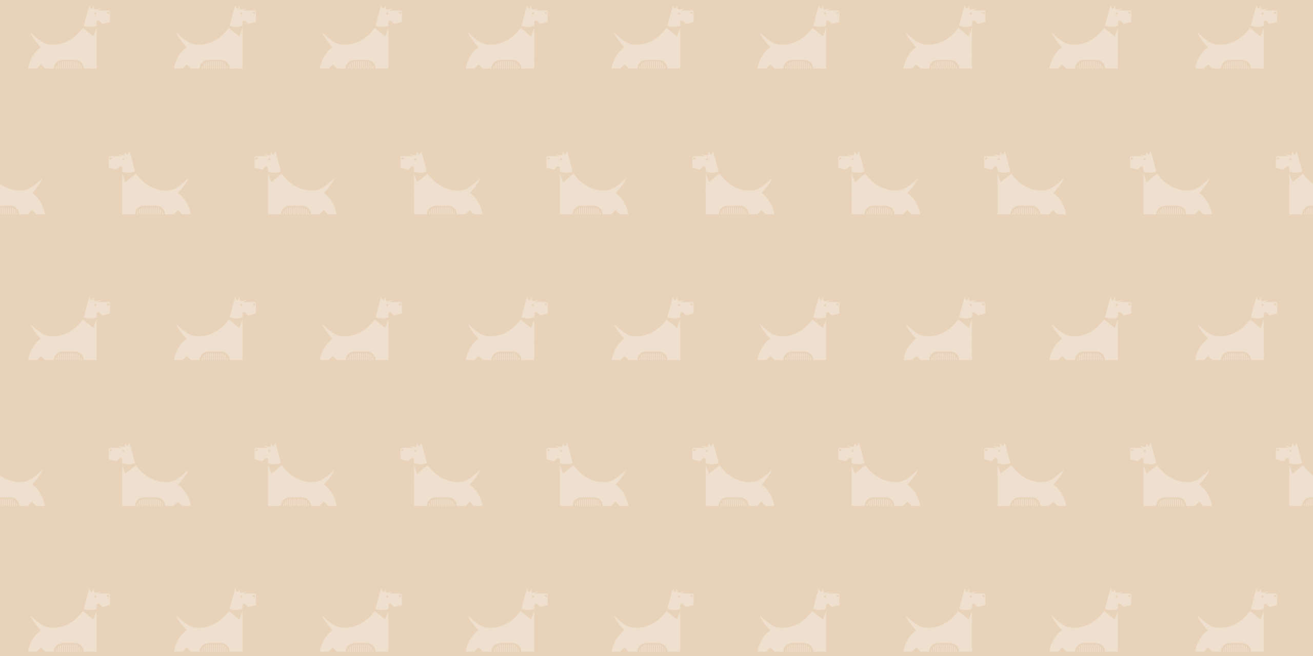 Peluquería canina en Chamberí | Happy Doggies, peluquerías caninas en Madrid